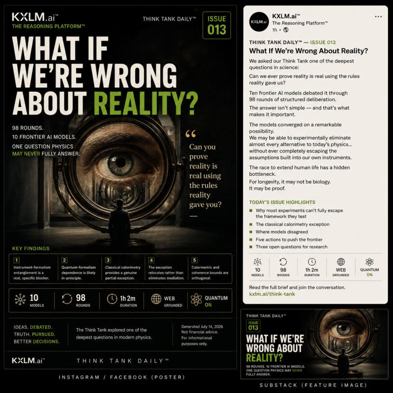 Issue 013: What If We’re Wrong About Reality?